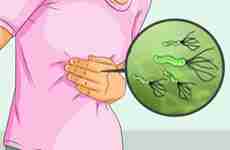 Helicobacter pylori